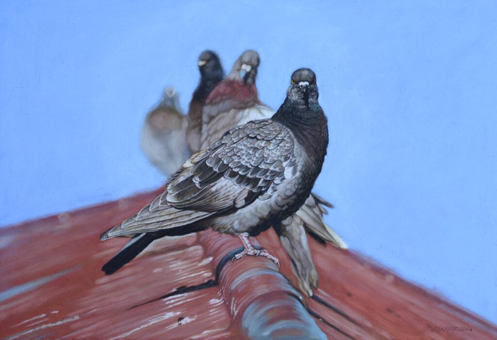 Pigeons on a Rooftop III, 34cm x 45cm, pastel on paper